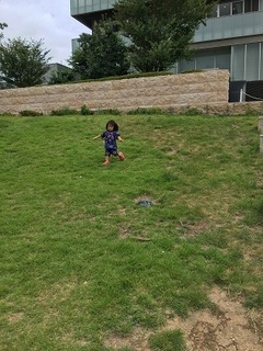 IMG_0246.jpg