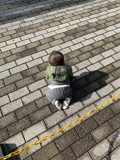 IMG_0443.jpg