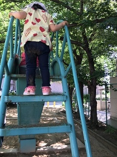 IMG_0539.jpg