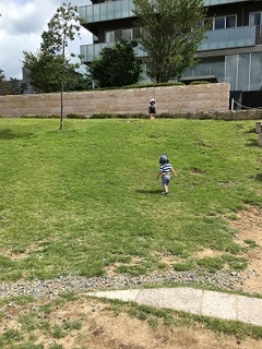 IMG_0650.jpg