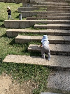 IMG_0851.jpg
