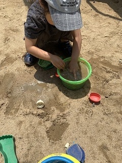 IMG_1051.jpg