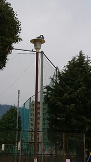 IMG_1495.jpg