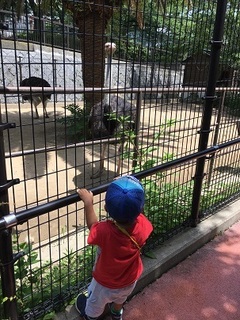 IMG_1551.jpg