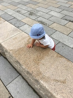 IMG_2070.jpg