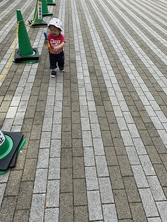 IMG_2098.jpg