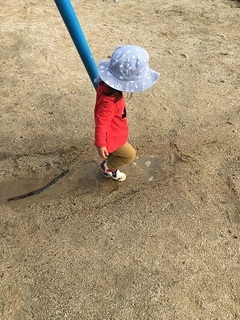 IMG_2264.jpg