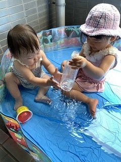 IMG_2316.jpg