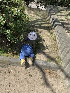 IMG_2379.jpg
