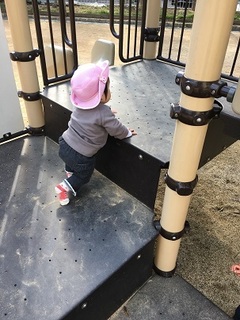 IMG_2462.jpg