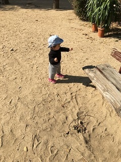IMG_2799.jpg