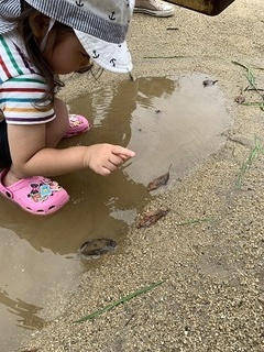 IMG_3307.jpg