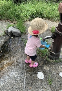 IMG_3527.jpg