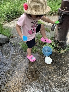 IMG_3531.jpg