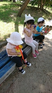IMG_3608.jpg
