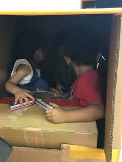 IMG_4796.jpg