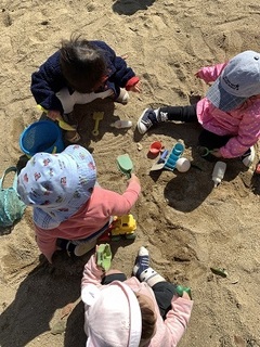 IMG_7536.jpg