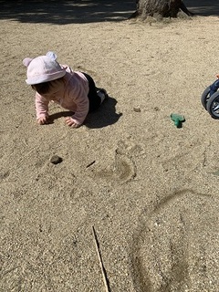 IMG_7551.jpg