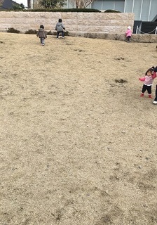 IMG_8184.jpg