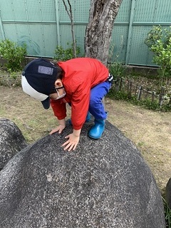 IMG_8351.jpg
