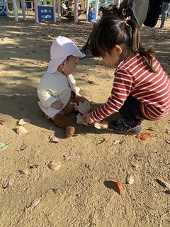 IMG_8560.jpg