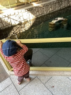 IMG_8666.jpg