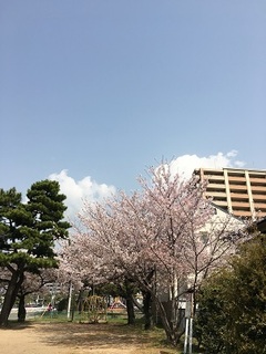 IMG_8747.jpg