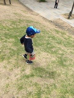 IMG_8943.jpg