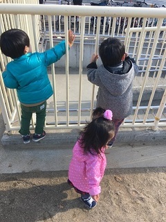 IMG_8968.jpg