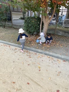 IMG_9307.jpg