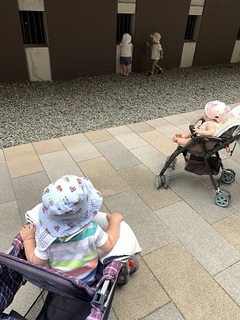 IMG_9468.jpg