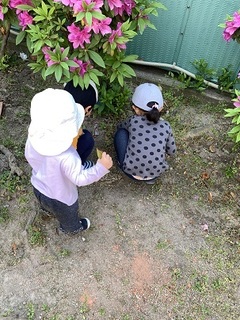 IMG_9679.jpg