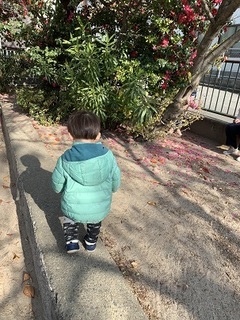 IMG_9782.jpg