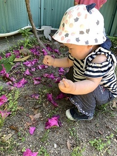 IMG_9902.jpg