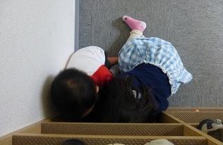 P1020127.jpg