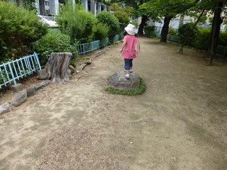 P1020417.jpg