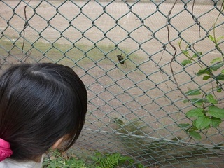 P1020790.jpg