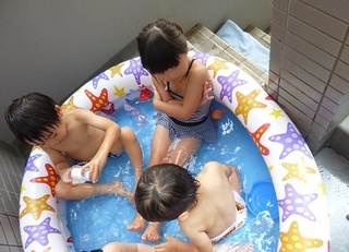 P1030046.jpg