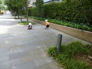 P1030102.jpg