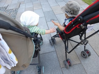P1030742.jpg
