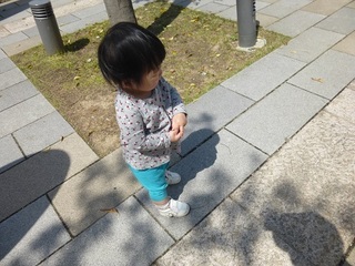 P1070250.jpg