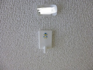 P1070611.jpg