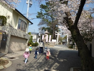 P1080130.jpg