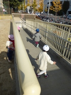 P1080494.jpg